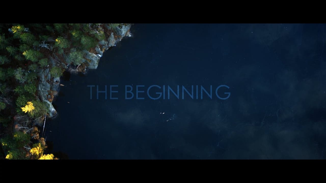 The Beginning